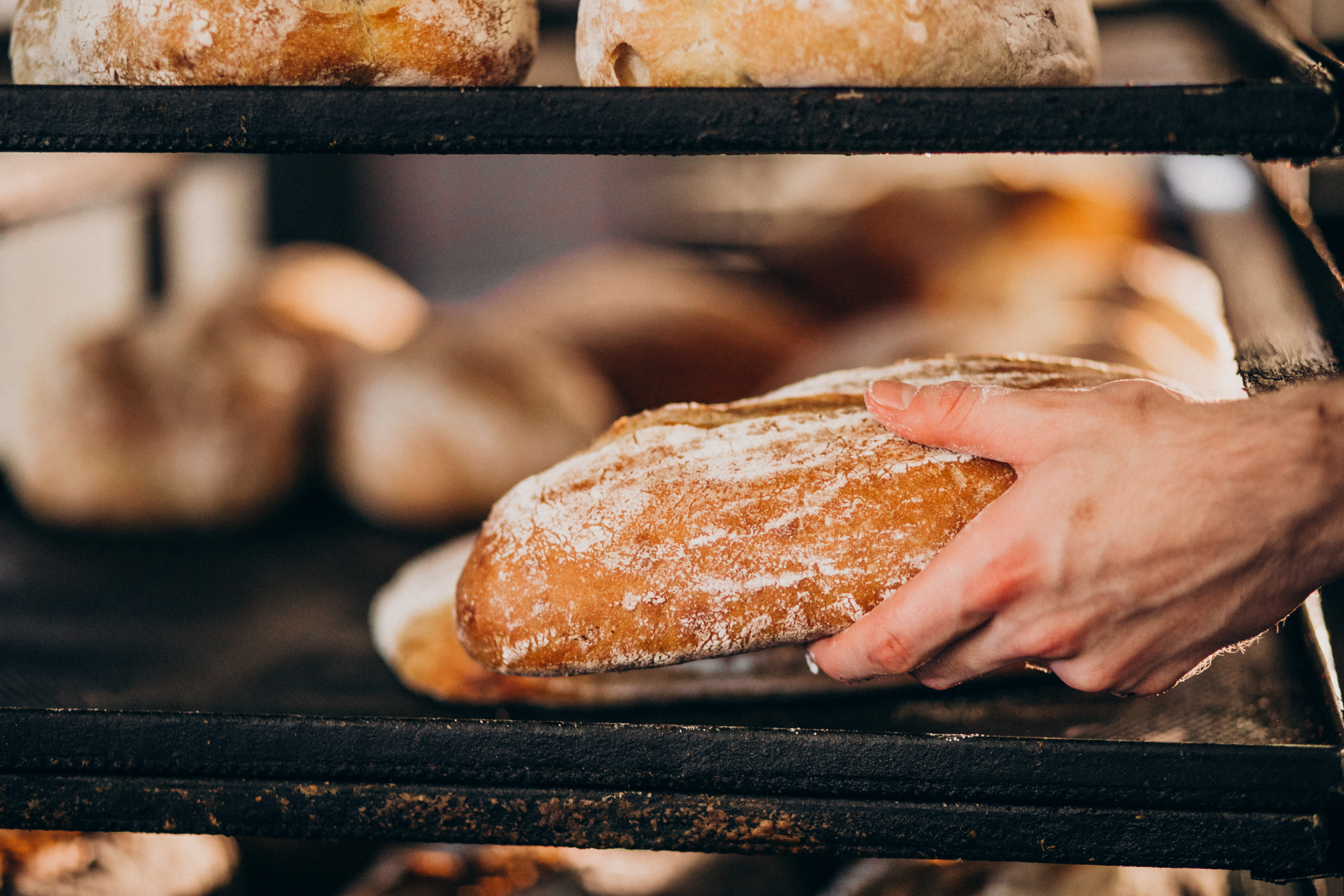 Bread baking industry, tasty pastry